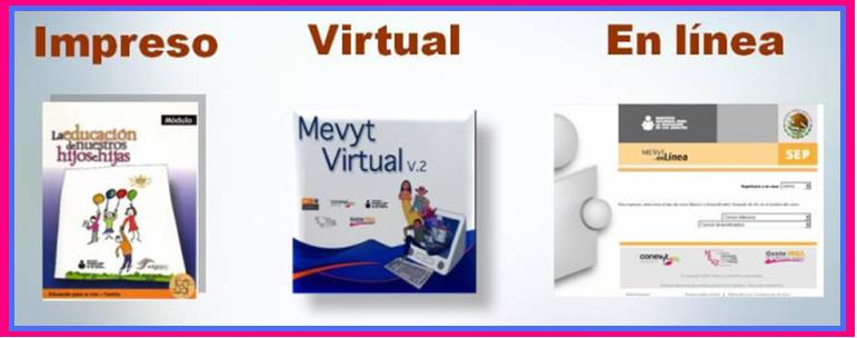 MODALIDADES DEL MEVyT